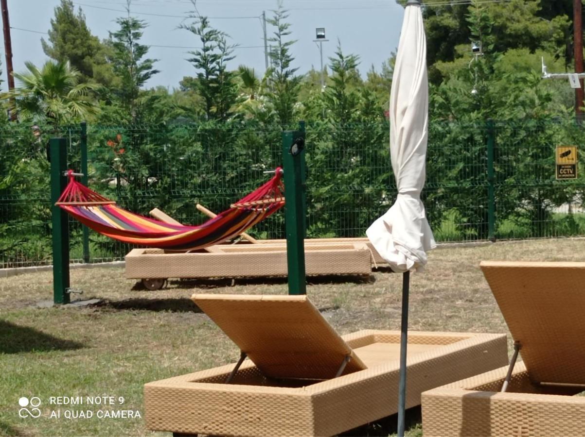 Villa Katia فوروفورو المظهر الخارجي الصورة